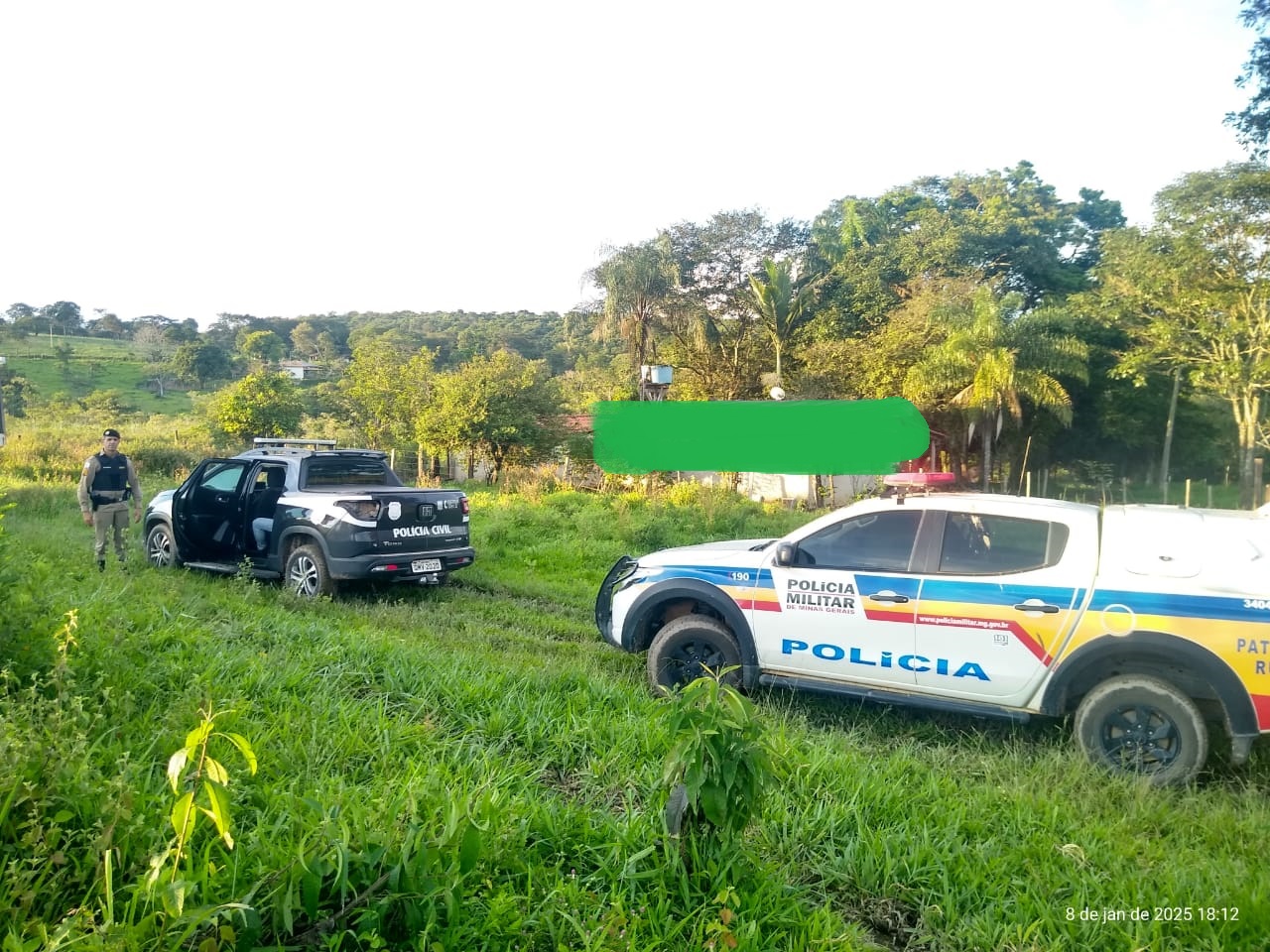 Polícia recupera quatro bovinos furtados e prende suspeito em Itaúna